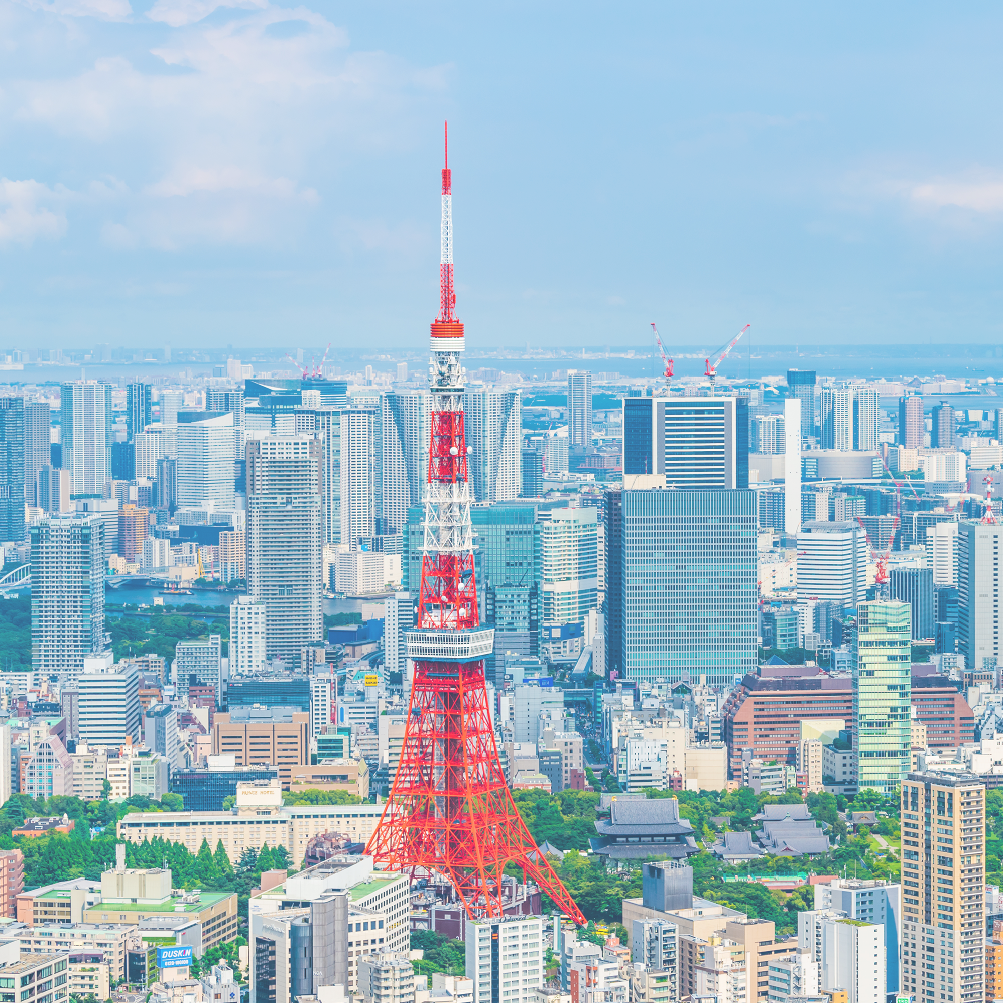 代表挨拶